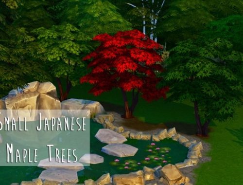 Weeping Japanese Maple Trees at Teanmoon