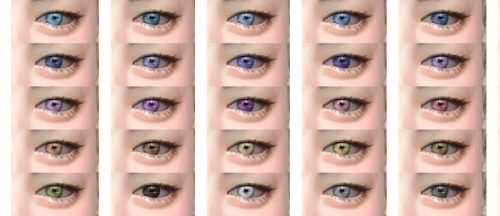 Whale Eyes at MINZZA