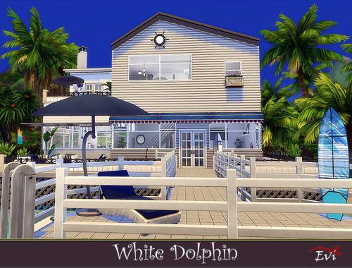 White Dolphin
