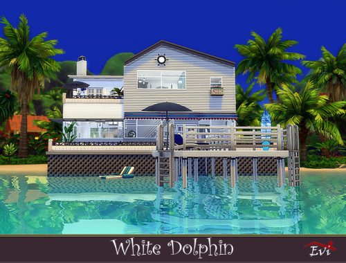 White Dolphin