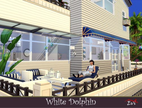 White Dolphin