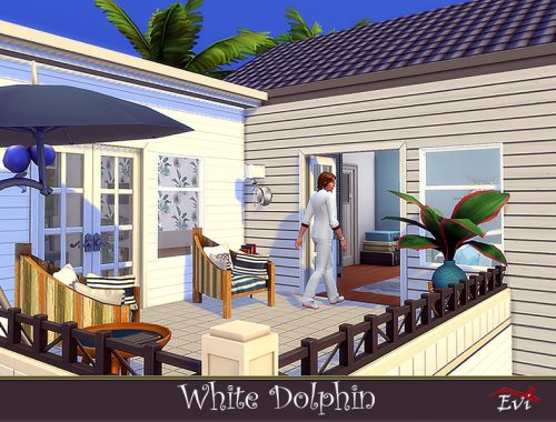 White Dolphin