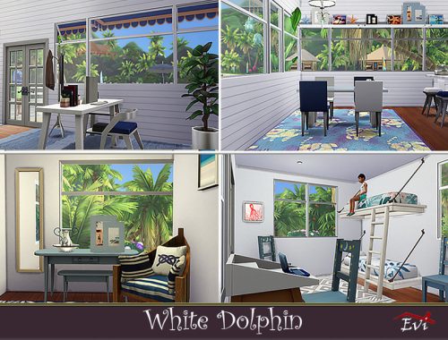 White Dolphin