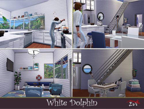 White Dolphin