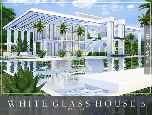 White Glass House 5
