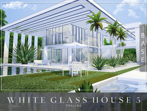 White Glass House 5