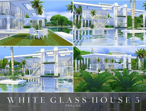 White Glass House 5