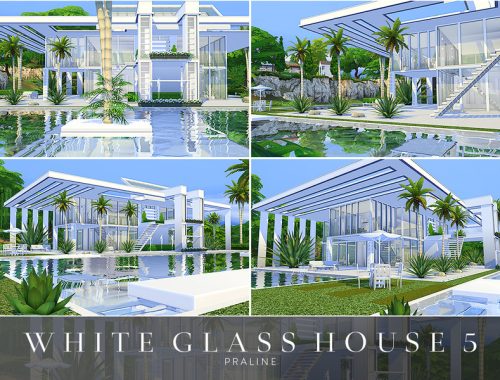 White Glass House 5