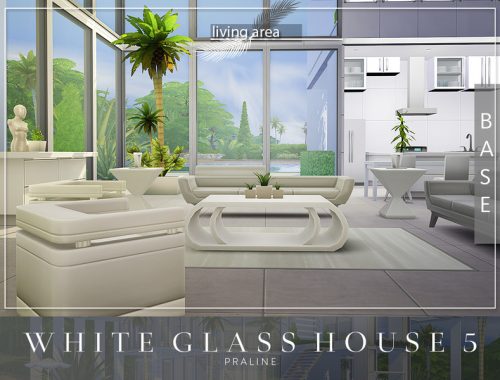 White Glass House 5
