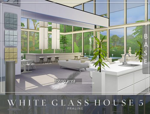 White Glass House 5