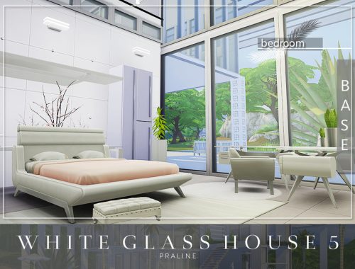 White Glass House 5