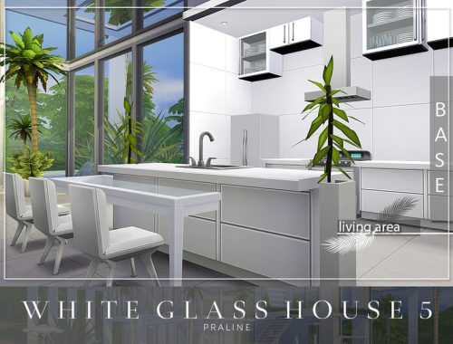 White Glass House 5