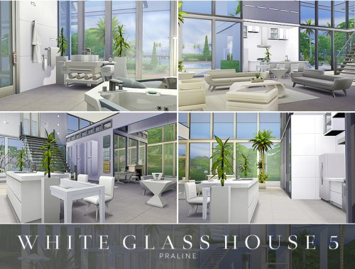 White Glass House 5