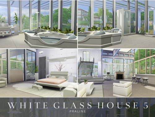 White Glass House 5