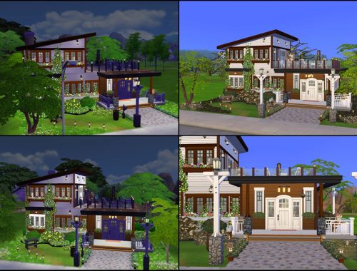 Wild and cozy house
