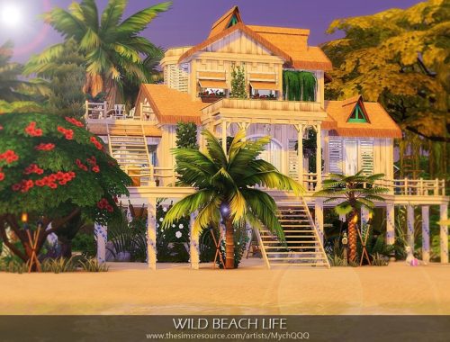 Wild Beach Life