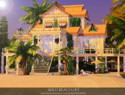 Wild Beach Life