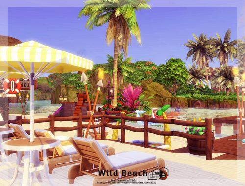 Wild Beach