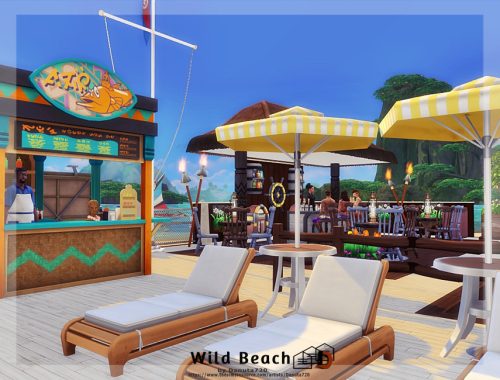 Wild Beach