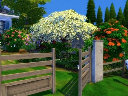 Windenburg starter by chipie-cyrano at L’UniverSims