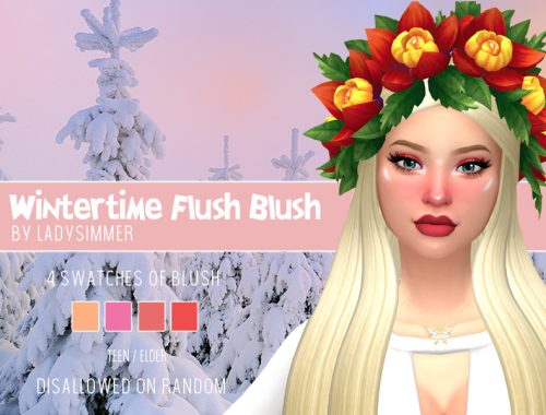 Wintertime Flush Blush