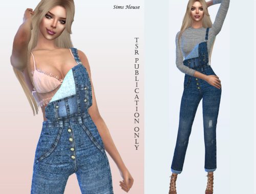 Women's denim overalls (bottom)