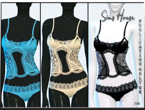 Women's Lace Low Rise Briefs