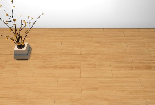 Wooden Floor at 27Sonia27