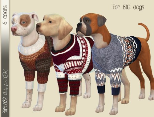 Wool sweater for dogs