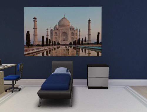 World View Window Decals - Cats/Dogs Required