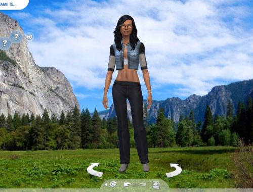 Yosemite Meadow CAS Background