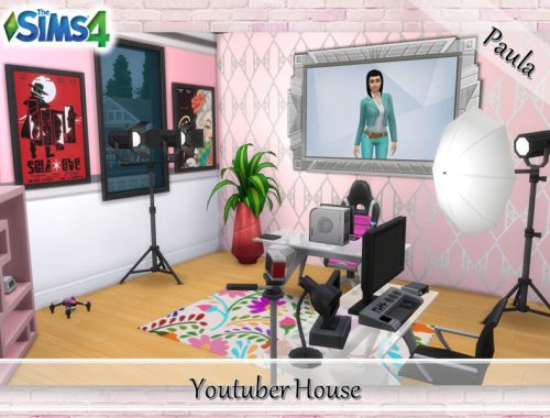 Youtuber House