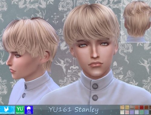 YU161 Stanley hair (P) at Newsea Sims 4