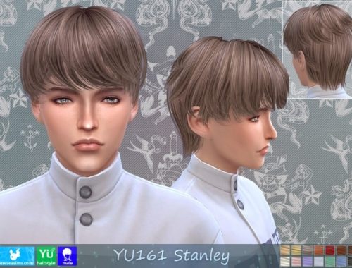 YU161 Stanley hair (P) at Newsea Sims 4