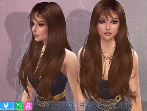 YU210 BlowandBlow hair (P) at Newsea Sims 4