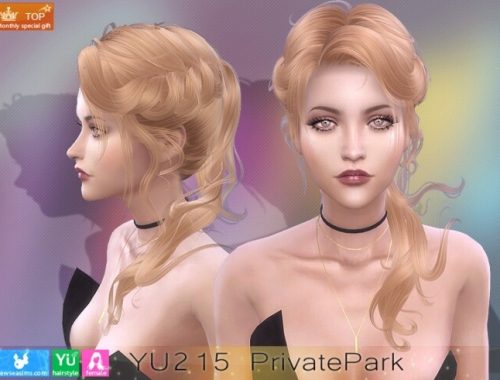 YU215 PrivatePark hair (P) at Newsea Sims 4