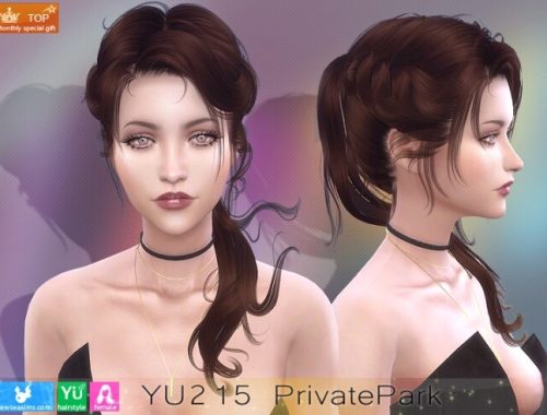 YU215 PrivatePark hair (P) at Newsea Sims 4
