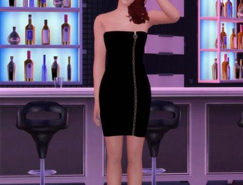 Zipper Dress at MINI SIMS