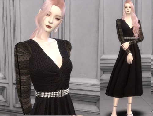 ZM tulle ballet dress