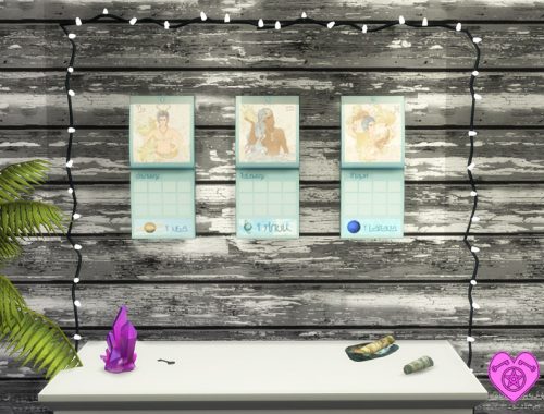 Zodiac Calendars Gentlemen Set - GET TO WORK REQUIRED