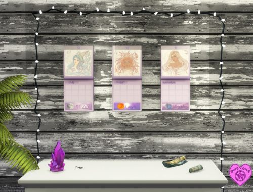 Zodiac Calendars Ladies Set - GET TO WORK REQUIRED