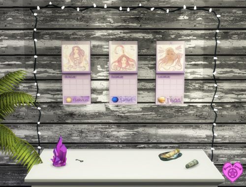 Zodiac Calendars Ladies Set - GET TO WORK REQUIRED
