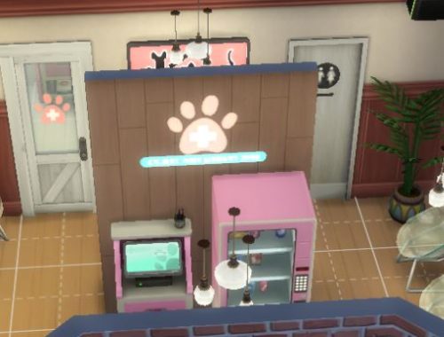 Your Veterinary