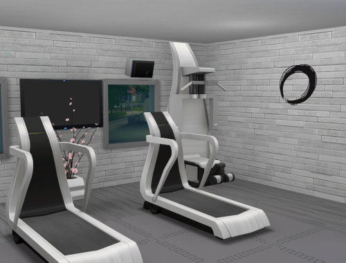 Neo-Moderna Fitness