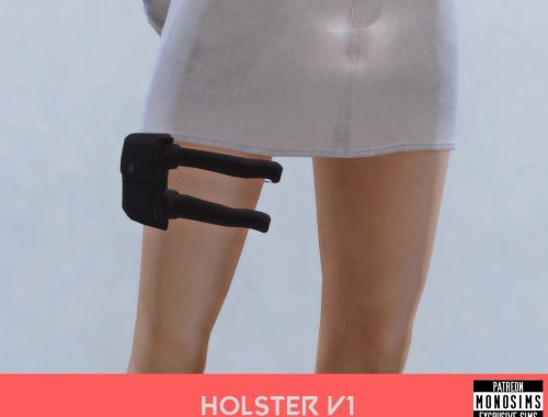 Holster Pack #1