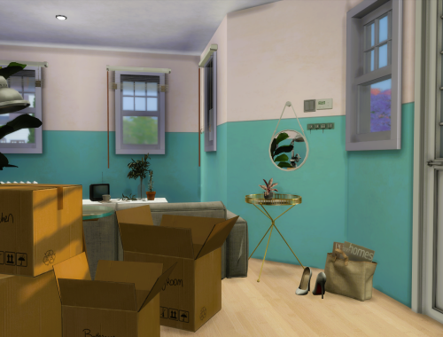 6 Sim Lane (starter home)