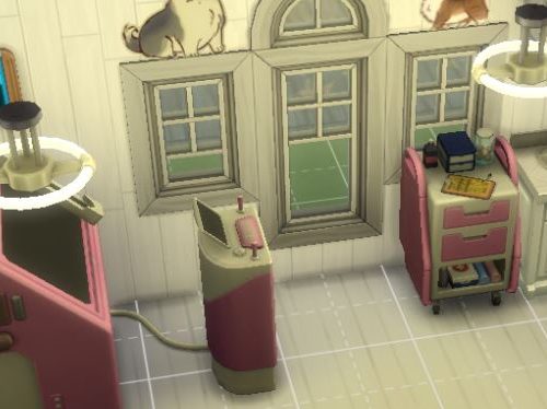 Your Veterinary