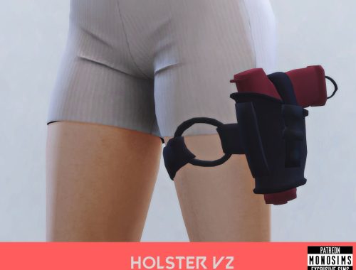 Holster Pack #1