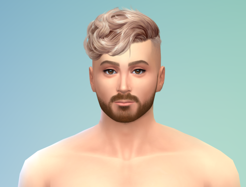 Social Media Influencer Jake Paul Free Download