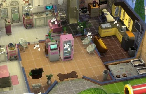 Your Veterinary
